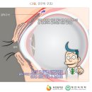 동신안경 이미지