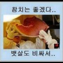 어부참치
