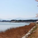 영태1리 이미지