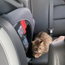 365동물병원위례점 이미지