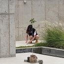 오르디(ORRD) 이미지