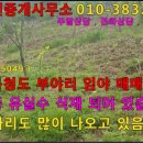 ﻿( 물건 5049 ) 경북 청도 부야리 임야 매매 ~~~ 이미지