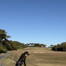 젤존 | &#39;젤존지디알GDR PLUS 아카데미 탕정역점&#39;후기 !!