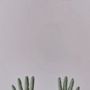 바이브왁싱