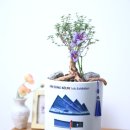 정아리아 개인전 이미지