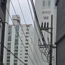 서울응봉초등학교 | [앨리스허 부동산 스터디 2기 ] 성동구 임장후기