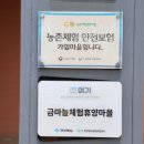 금마늘마을 이미지