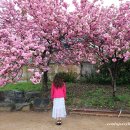 백제어죽 이미지