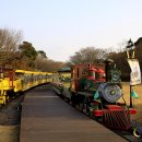 에코랜드 이미지