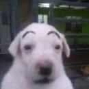 GS25 고등성당점 | S202-2601