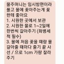 수니플레르 이미지