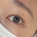금천구 가산속눈썹펌 채뷰티, 처음해 본 속눈썹펌 후기🫧