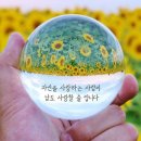 최고의선물 이미지