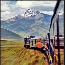 인생여행 이미지