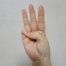 수어기초반 | 수어 기초반 1개월 수강 후기