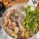 양송곱창 | 발산 양송한우곱창 내돈내산 후기, 13년 전통 곱창 맛집 발산역재오픈