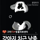 탑(TOP)메디칼 이미지