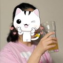 물에 타먹는 다이어트_마이해빗 발포 다이어트 가벼운 습관