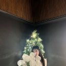 샬롬케이크