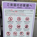 멜론버스(주) | 퇴사여행 삿포로 3일차] 하루하루투어- 비에이 버스투어 후기(청의 호수, 흰수염 폭포, 비에이역, 팜...