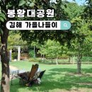 대공원충전소 | 김해 가을 나들이 명소 추천 봉황대공원 돗자리 펴고 놀 수 있는곳