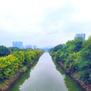 청라대로(공촌3교) 이미지