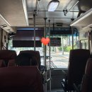 sk네트웍스(주)워커힐(명월관) | '비스타 워커힐 서울 더뷔페' 주말 런치 후기