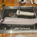 신흥장어 이미지