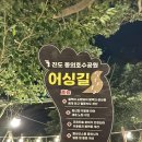 동외제 네이버블로그
