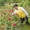 [하루만보] 함께 걸으면 기쁨이 두배…동대문 힐링산책길 이미지