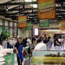 청년고등어 이미지