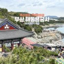 해동불교 | 부산 가볼만한 곳 해동용궁사 미국인 남자친구와 함께한 여행