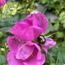 광석작은도서관 이미지