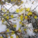 장안중학교후문 이미지