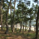 바다전망대 sky- 이미지