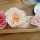 프리저브드 플라워 이미지