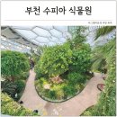 수피아어린이집 | 부천 수피아 식물원 아이랑 가볼만한곳 인천 근교 실내 데이트