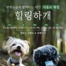 주식회사 힐링사운드