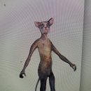 켓츠 이미지