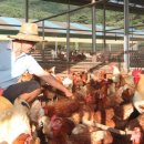 유수정농장 이미지