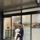 왈왈이 (무실점) 이미지