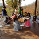 (주)노란거북선