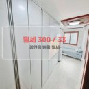부성부동산중개사무소 네이버블로그