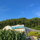 산천수산송어횟집