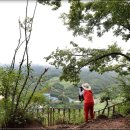 한반도면-8 이미지