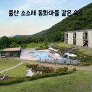 울산 소소재 아이랑 오늘 방문 후기 (수영장 구비물품 바베큐 준비물)
