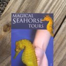 해마농장 이미지