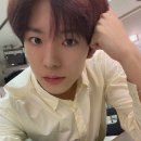 더자 이미지