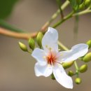 건축물 탐방 코스 이미지