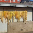 조양곡물 이미지